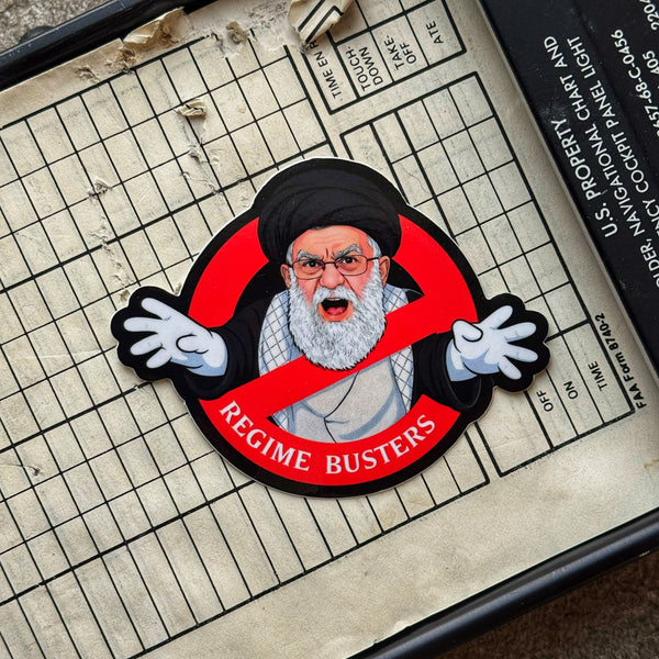 Dept of War Boyz™ REGIME BUSTERS Sticker